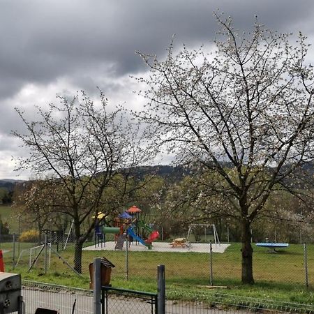 Apartman Sumava U Rybaku Volenice  외부 사진