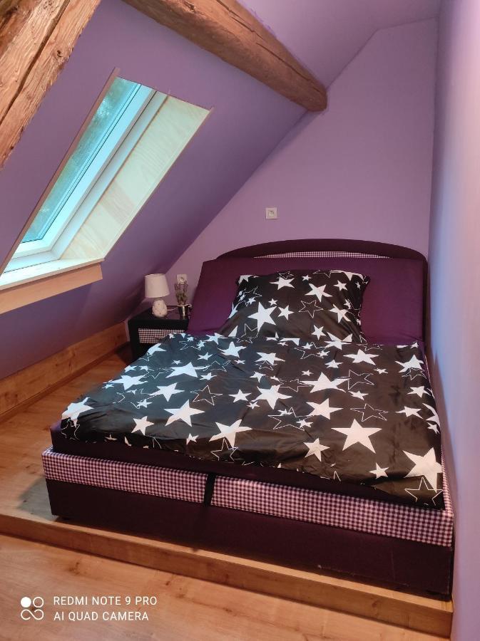 Apartman Sumava U Rybaku Volenice  외부 사진