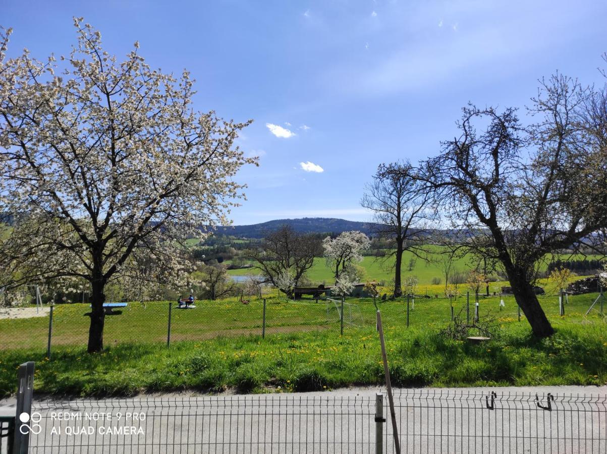 Apartman Sumava U Rybaku Volenice  외부 사진